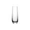 Steelite UR90717 10 1/2 oz Utopia Vintage Raffles Champagne Flute Glass, Clear