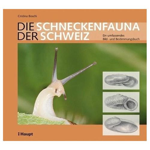 Die Schneckenfauna der Schweiz – Cristina Boschi