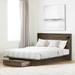 South Shore Tao Bed and Headboard Set