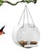 Difost Bird Feeders Window Bird Feeders with Strong Suction Cup Wild Bird Feeders for Outdoor Hanging for Garden Yard Round Shape Clear Acrylic Bird Feeders for Great Viewing