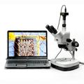 AmScope 10X-60X Inspection Stereo Zoom Microscope + 10MP Camera New