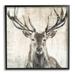 Stupell Industries Rustic Deer Elk Wildlife Portrait Framed On Wood by Liz Jardine Graphic Art Wood in Brown/Gray | 24 H x 24 W x 1.5 D in | Wayfair