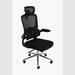 Inbox Zero Hodgins Mesh Executive Chair Upholstered/Mesh | 48 H x 24.8 W in | Wayfair 8A47503059474E6294586EA9A87E7B92