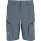 Salewa Herren Puez DST Cargo Shorts (Größe XL, blau)