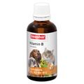 2x50mL Beaphar Complexe de vitamine B , chat, oiseau et rongeur - pour chat