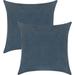 Delara Pack of 2 Velvet Decorative Throw Pillow Cover 20x20 Inches, Cushion Cover, Soft and Breathable Fabric, Hidden Zipper