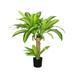 2.5ft Real Touch Artificial Dracaena Tree Plant in Black Pot - 30" H x 28" W x 24" DP
