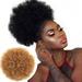 Fofosbeauty Afro Puff Hair Bun Hairpieces Drawstring Ponytail Kinky Curly Bun Hair Synthetic Short Extensions Hairpieces Updo Hair for Black Women Girls 27#