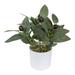 Mainstays Indoor 10 x 4 Artificial Olive Leaf Plant in White Pot Green 1pc