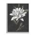 Stupell Industries Traditional White Dahlia Flower Graphic Art Gray Framed Art Print Wall Art Design by Nina Blue