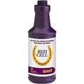 Horse Health Red Cell Liquid Vitamin-Iron-Mineral Supplement for Horses Helps Fill Important Nutritional Gaps in Horse s Diet 1 Qt. 32 Oz. 16-Day Supply