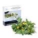 Mainstays 7 ft. Ivy String Lights (Battery Operated Warm White LED Indoor Use)