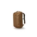 Gregory Border 25 L Pack Coyote Brown One Size 104089-4869