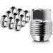 2005-2007 Buick Terraza Lug Nut Set - Autopart Premium