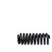 1999-2016 Ford F350 Super Duty Front Coil Spring - SuperSprings SSC-31