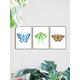 Watercolor Butterflies Prints Set of 3, Illustrated Butterflies, Butterfly Wall Art, Natural World Art, Tortoiseshell, Large Blue, Luna Moth