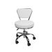 Dayton Short Stool Adjustable 13" to 15" Low Rolling Chair with Backrest, White - N/A