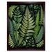 Ernst Haeckel Style Fern Fronds Leaf Illustration Art Print Framed Poster Wall Decor 12x16 inch