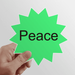 Peace Word Inspirational Quote Sayings Sun Vinyl Sticker Luggage Graffiti Flower Decal