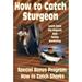 Pre-owned - How to Catch Sharks and How to Catch Sturgeon (DVD)