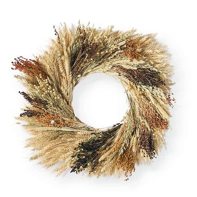 Avena Oat Wreath - Frontgate