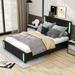 Ivy Bronx Sabira Queen Size Upholstered Platform Bed w/ LED Lights, USB Charging,4 Drawers & Headboard Faux in Black | Wayfair