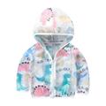 ZRBYWB Toddler Boy Girl Clothes Sun Coat Long Sleeve Zip Rash Guard Sun Clothing Coat Sunscreen Jacket Cartoon Print Fashion Jacket Coat Kawaii Clothes