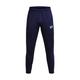 Under Armour Herren UA M's Ch. Train Pant Pants