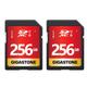 Gigastone 256GB SDXC Memory Card 2 Pack UHS-I U1 Class 10 Up to 80MB/s for Canon Sony Nikon Olympus PC Digital Cameras