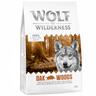 1kg Adult Wild Boar Oak Woods Wolf of Wilderness Dry Dog Food