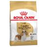 Royal Canin Cavalier King Charles Adult - 3 kg