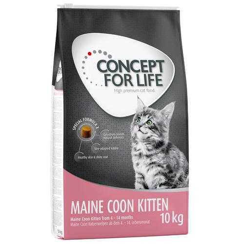 10 kg Maine Coon Kitten Concept for Life Kätzchenfutter trocken