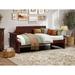 Lark Manor™ Antavious Solid Wood Daybed Wood in Brown | 34.63 H x 79.5 W x 39 D in | Wayfair 6DFA47B768E64D24BC08DC4209330525