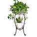 17 Stories Giggetts Metal Plant Stand Metal in Black | 28.4 H x 11.8 W x 11.8 D in | Wayfair 91A939C7C8DB48AAAFC8365044172A43