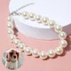 Collier brillant blanc pour animaux de compagnie jolies perles pour chiens bijoux pour animaux de