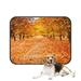 PKQWTM Orange Autumn Alley Pet Dog Cat Bed Pee Pads Mat Cushion Potty Dogsblankets Crate Bed Kennel 25x30 inch