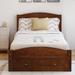 Twin Size Platform Bed Frame Featuring Storage Drawer, 100% Pine Wood Slats Support, and Vintage Headboard & Footboard