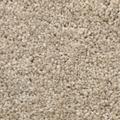 BODENMEISTER Teppichboden "Veloursteppich Pegasus" Teppiche Wohnzimmer, Schlafzimmer, Kinderzimmer, Breite 400500 cm Gr. B/L: 550 cm x 500 cm, 10 mm, 1 St., beige (beige grau) Teppichboden