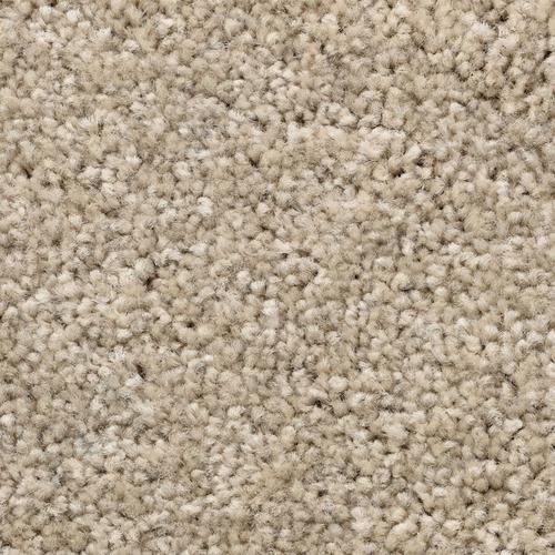 „BODENMEISTER Teppichboden „“Veloursteppich Pegasus““ Teppiche fußbodenheizungsgeeignet, Hochflor Gr. B/L: 800 cm x 400 cm, 10 mm, 1 St., beige (beige grau) Teppichboden“
