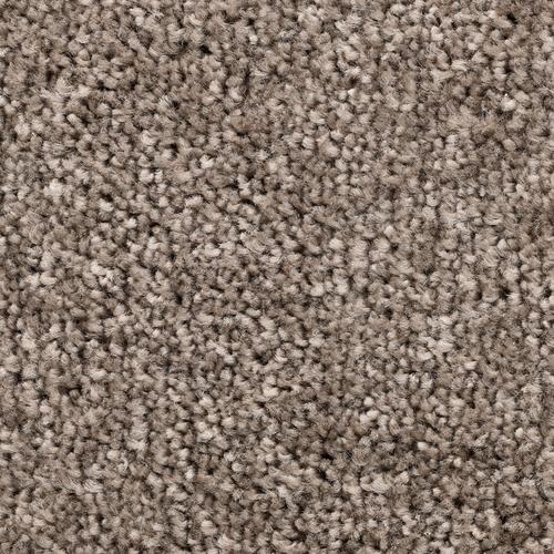 „BODENMEISTER Teppichboden „“Veloursteppich Pegasus““ Teppiche fußbodenheizungsgeeignet, Hochflor Gr. B/L: 350 cm x 400 cm, 10 mm, 1 St., grau (grau beige) Teppichboden“