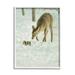 Stupell Industries Deer & Squirrel Snow Scene Animals & Insects Photography White Framed Art Print Wall Art