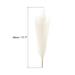 6Pcs Pampas Grass,17.7" Fake Pampas Grass for Wedding Decoration