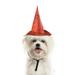 Halloween Pet Witch Hat Dog Transformed Into Hat Cat Holiday Costumes Cosplay Witch Hat With Ornaments