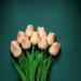 10 Pack | 13 Peach Single Stem Real Touch Tulips Artificial Flowers Bouquet Foam Wedding Flowers