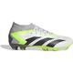 ADIDAS Herren Fussball-Rasenschuhe Predator Accuracy.2 FG, Größe 46 ⅔ in Silber