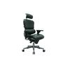 Eurotech Ergohuman Ergonomic Executive Leather Chair