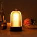 SRstrat Portable Wireless Birdcage Table Lamp Dimmable Decorative Atmosphere Rechargeable Table Lamp Touching Control Night Light