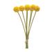 Primrue Pod Stems Plastic | 13.25 H x 3.25 W x 3.25 D in | Wayfair 187CEB9D113D4ACFABA730BC17CC31D4