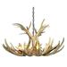 CDN Antler Design Antler Design Real Antler Chandelier - Medium