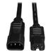 TRIPPLITE Tripp Lite Power Cord - 2FT